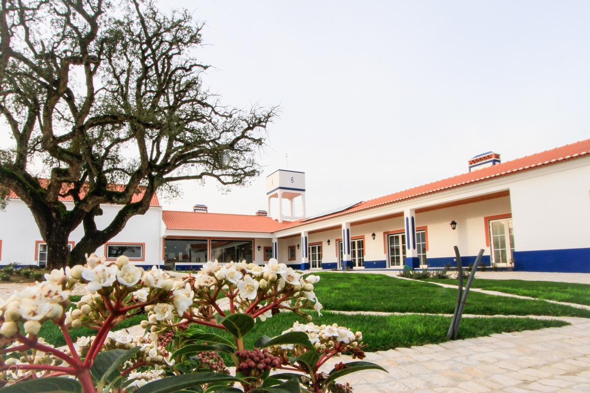 Quinta Da Torre - Casas De Campo Bed and Breakfast Alenquer Buitenkant foto